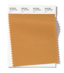 چکاوک (Pantone 16-1324 Lark)