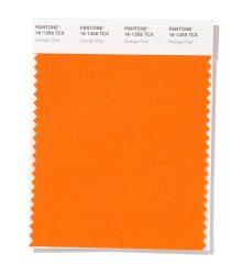 نارنجی پوست پرتغالی (Pantone 16-1359 Orange Peel)