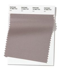 خاکستری (Pantone 16-3802 Ash)