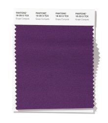 کمپوت انگور (Pantone 18-3513 Grape Compote )
