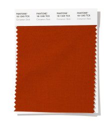 دارچینی (Pantone 18-1345 Cinnamon Stick)